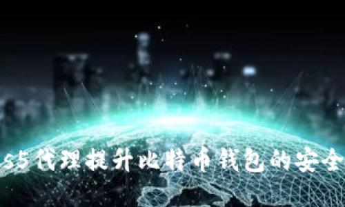 如何使用Socks5代理提升比特币钱包的安全性与隐私保护