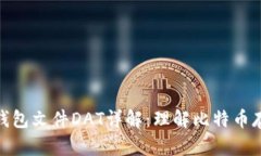 : 比特币钱包文件DAT详解：理解比特币