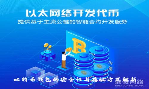 比特币钱包的安全性与存放方式解析