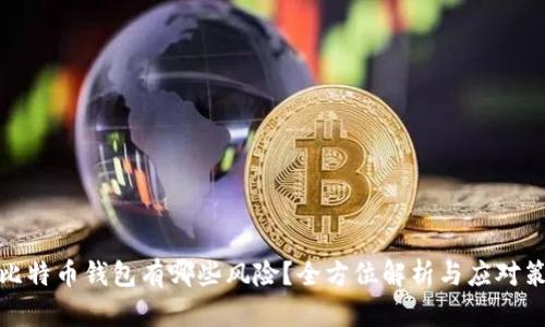 存比特币钱包有哪些风险？全方位解析与应对策略