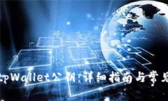 如何查看tpWallet公钥：详细指南与常见