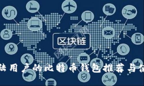 适合大陆用户的比特币钱包推荐与使用指南