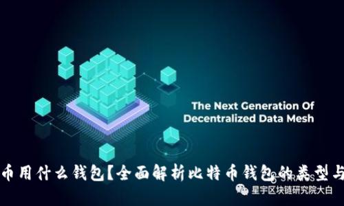 比特币用什么钱包？全面解析比特币钱包的类型与选择