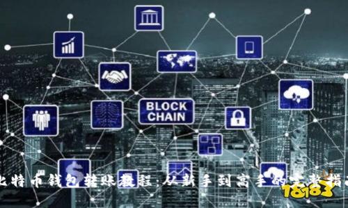 比特币钱包转账教程：从新手到高手的完整指南