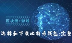 如何选择和下载比特币钱包：完整指南