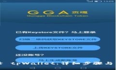 电脑如何登录 tpWallet：详细步骤与常见