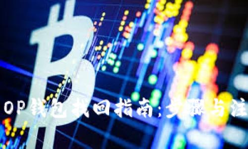 维卡币OP钱包找回指南：步骤与注意事项