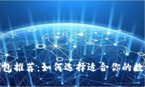 最安全的屎币钱包推荐：如何选择适合你的数字货币存储方案