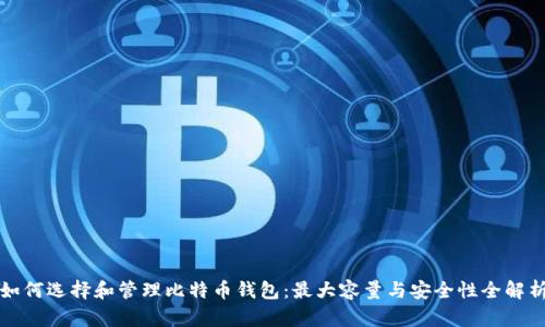 如何选择和管理比特币钱包：最大容量与安全性全解析