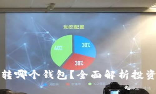 瑞波币可以转哪个钱包？全面解析投资与存储选择