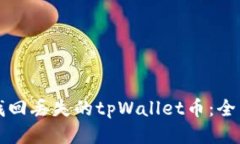 如何找回丢失的tpWallet币：全面指南