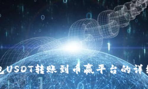 TP钱包USDT转账到币赢平台的详细指南