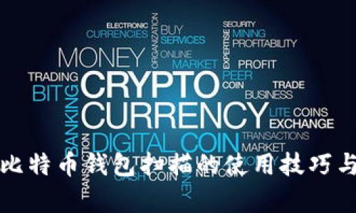 全面解析比特币钱包扫描的使用技巧与安全防护