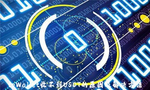 
tpWallet收不到USDT的原因及解决方法