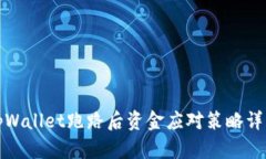 tpWallet跑路后资金应对策略详解