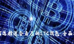 如何选择适合自己的LTC钱包：全面指南