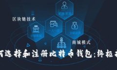 如何选择和注册比特币钱包：终极指南