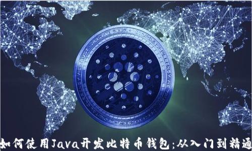 
如何使用Java开发比特币钱包：从入门到精通