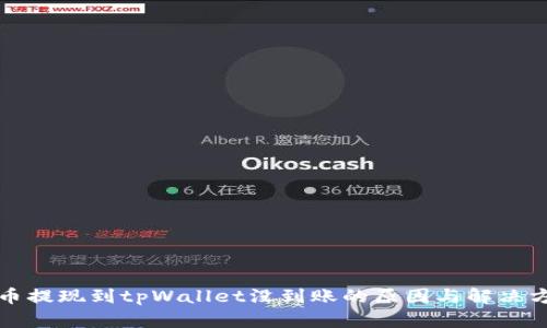 火币提现到tpWallet没到账的原因与解决方案