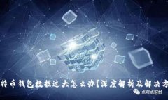 比特币钱包数据过大怎么办？深度解析