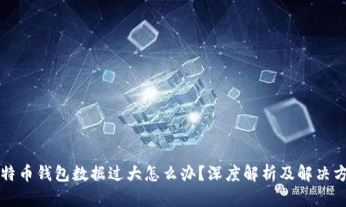 比特币钱包数据过大怎么办？深度解析及解决方案