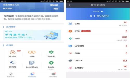 如何查询XRP钱包余额及其交易记录