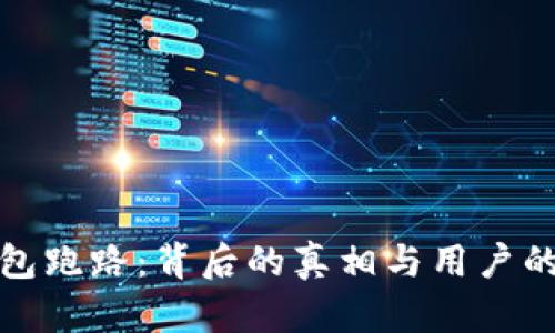 艾达币钱包跑路：背后的真相与用户的保护措施