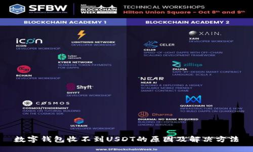 数字钱包收不到USDT的原因及解决方法