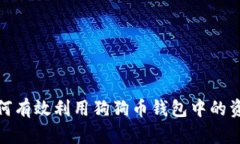 如何有效利用狗狗币钱包中的资金