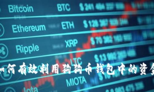如何有效利用狗狗币钱包中的资金