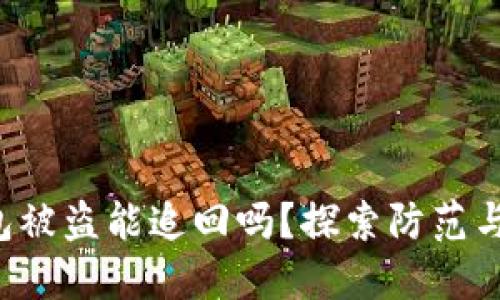 Token钱包被盗能追回吗？探索防范与应对措施