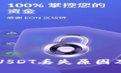 tpWallet中的USDT丢失原因及解决方案详解