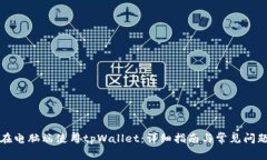如何在电脑端使用tpWallet：详细指南与