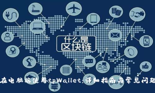 如何在电脑端使用tpWallet：详细指南与常见问题解析