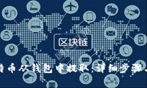 如何将比特币从钱包中提取：详细步骤与注意事项
