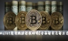 tpWallet转错地址能找回吗？全面解析及