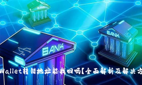 tpWallet转错地址能找回吗？全面解析及解决方案