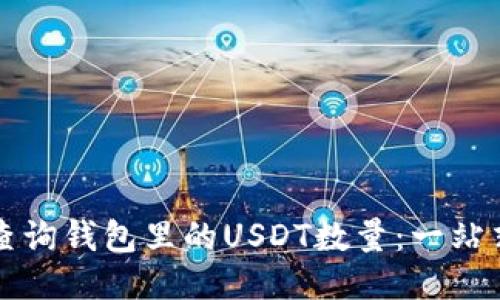 如何查询钱包里的USDT数量：一站式指南