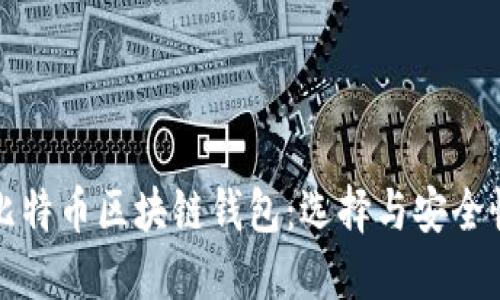瑞典比特币区块链钱包：选择与安全性详解