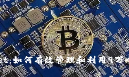 tpWallet：如何有效管理和利用9万个空投币