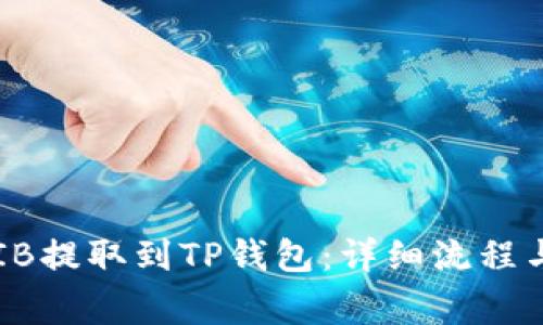 如何将SHIB提取到TP钱包：详细流程与注意事项