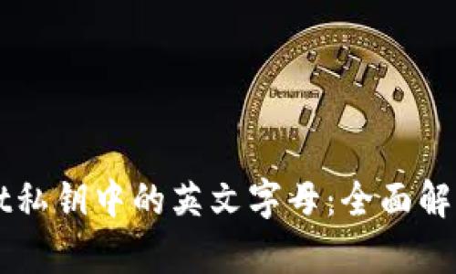 解密tpWallet私钥中的英文字母：全面解析及使用指导