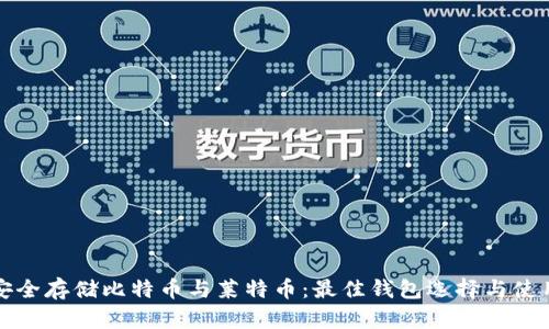 如何安全存储比特币与莱特币：最佳钱包选择与使用指南