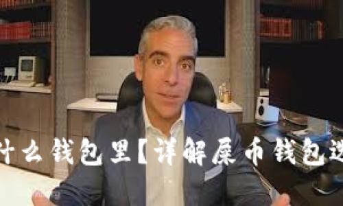 屎币能放在什么钱包里？详解屎币钱包选择与安全性