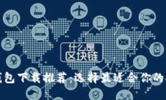 比特币钱包下载推荐：选择最适合你的