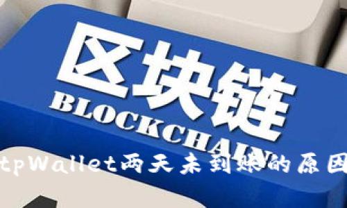 抹茶提币到tpWallet两天未到账的原因及解决方案