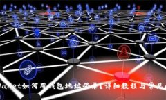 tpWallet如何用钱包地址登录？详细教程