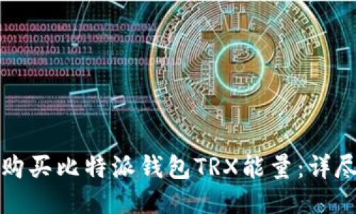 如何购买比特派钱包TRX能量：详尽指南