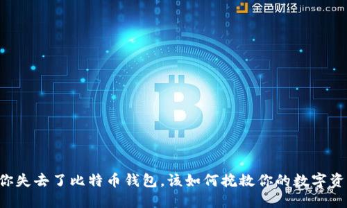 当你失去了比特币钱包，该如何挽救你的数字资产？