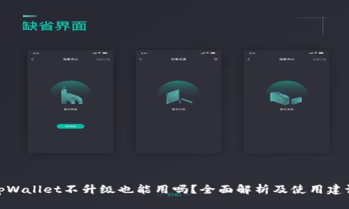 tpWallet不升级也能用吗？全面解析及使用建议